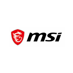 MSI